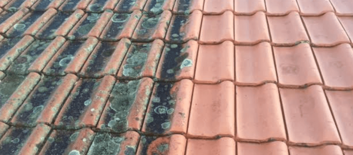 roof-cleaning